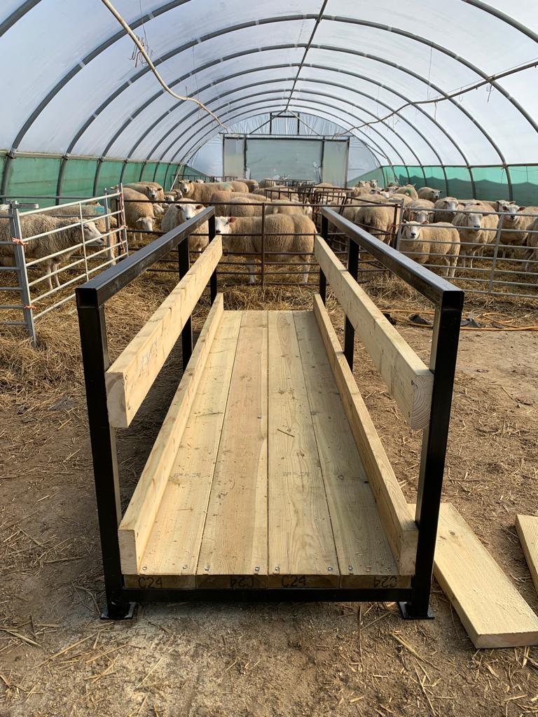 t and s engineering metal walkway for sheep pens